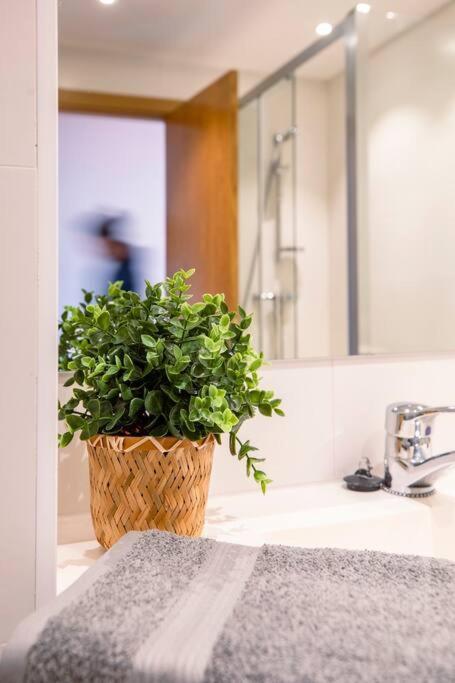Apartament Casa Nieves Villanúa Zewnętrze zdjęcie