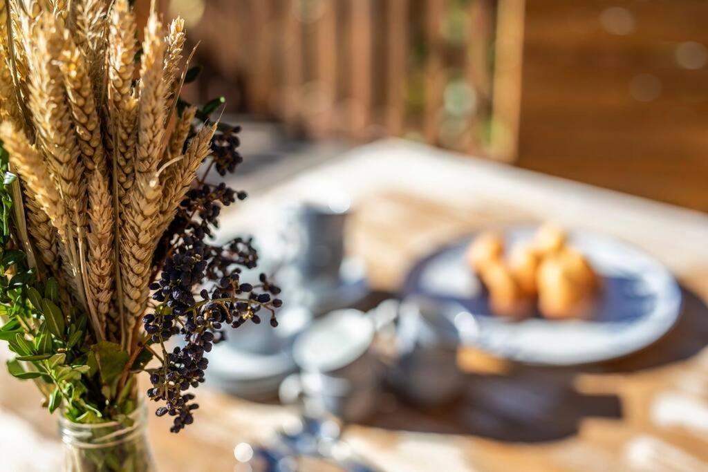 Apartament Casa Nieves Villanúa Zewnętrze zdjęcie